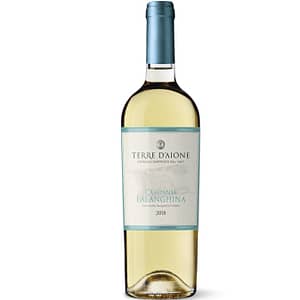 Falanghina_TerreDAione_bianco_EnotecaSalerno_CandyWine