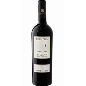 Fiore-di-Vigna_Salento-IGP_rosso_Paololeo_EnotecaSalerno_Candywine