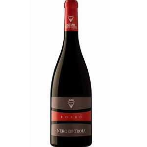 Nero-di-Troia-IGT-rosso-Paololeo_Enotecasalerno_CandyWine