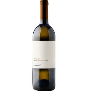 Coccinella_Colli-di-Salerno_IGT_bianco_Vinaria_EnotecaSalerno_CandyWine
